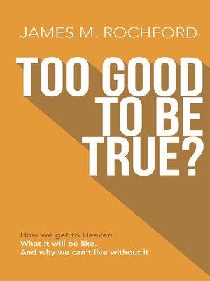 cover image of Too Good to Be True